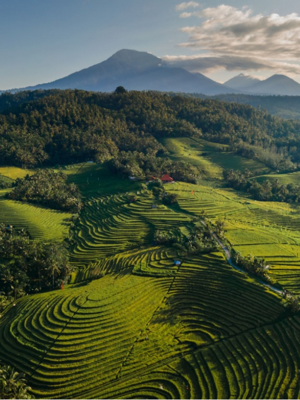 Ubud rice terrace, temples and Balinese culture